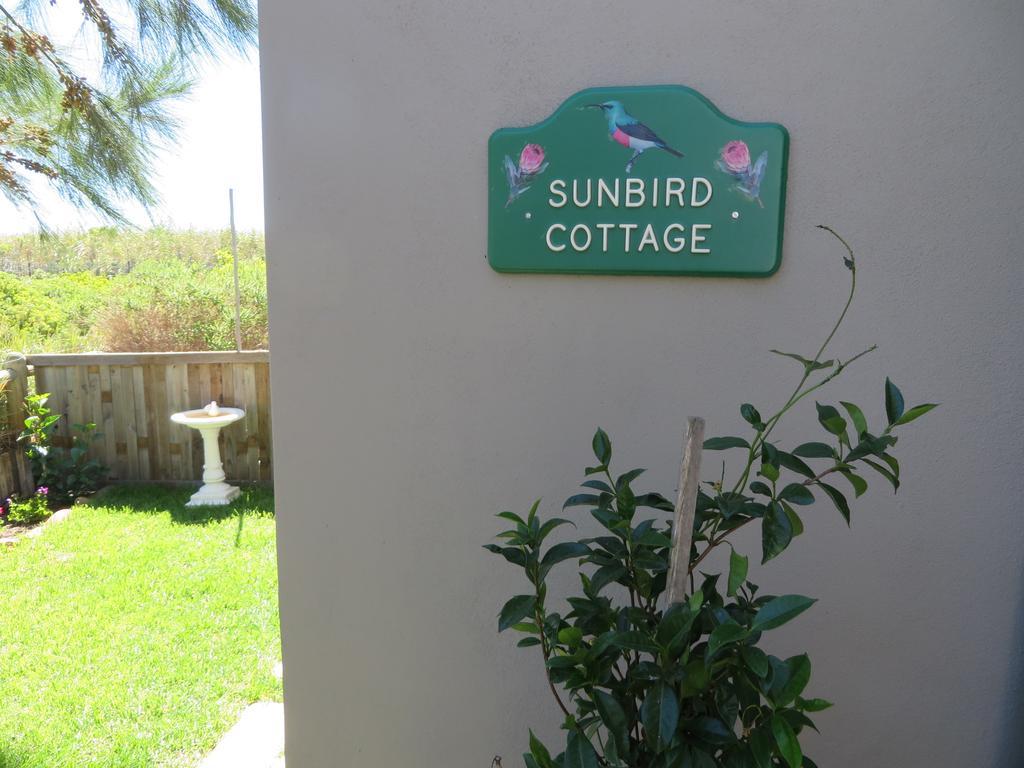 Sunbird Cottage Noordhoek Eksteriør billede